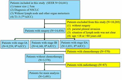Stratification of Patients With Stage IB NSCLC Based on the 8th Edition of the American Joint Committee on Cancer (AJCC) Staging Manual